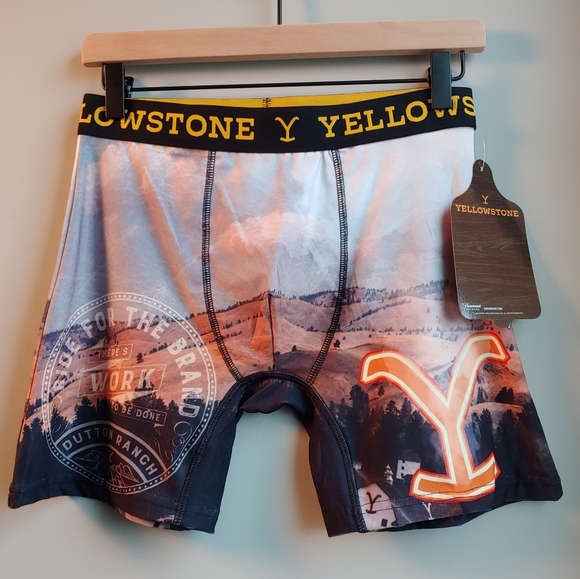 NWT Men's Yellowstone Boxer Briefs Size Medium Smokey Landscape Print with Logo - Picture 4 of 13